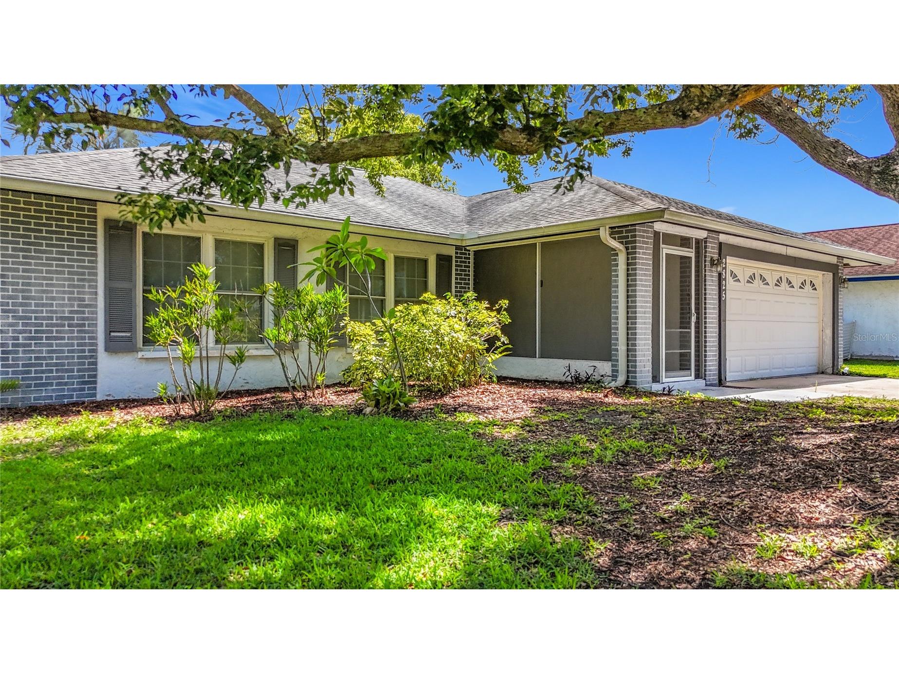 2825 Wendover Terrace Palm Harbor FL 34685 C7526434 image5