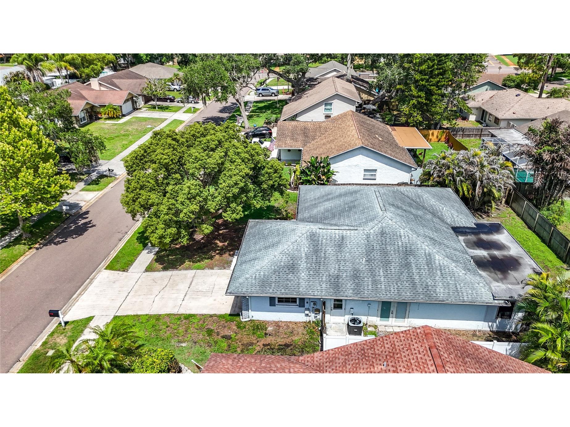 2825 Wendover Terrace Palm Harbor FL 34685 C7526434 image62