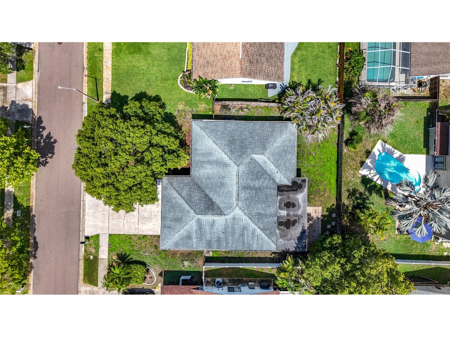 2825 Wendover Terrace Palm Harbor FL 34685 C7526434 image65