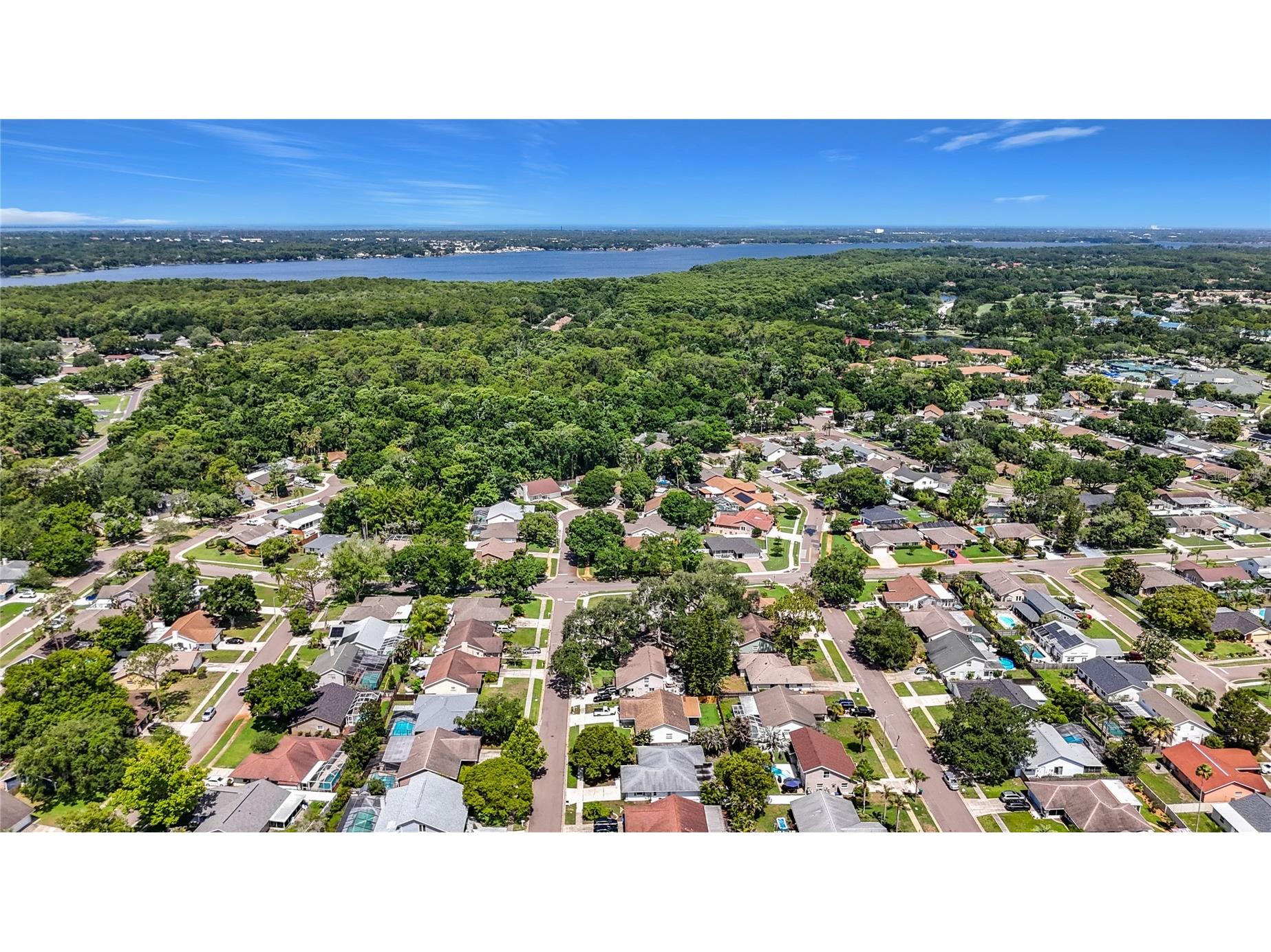 2825 Wendover Terrace Palm Harbor FL 34685 C7526434 image68