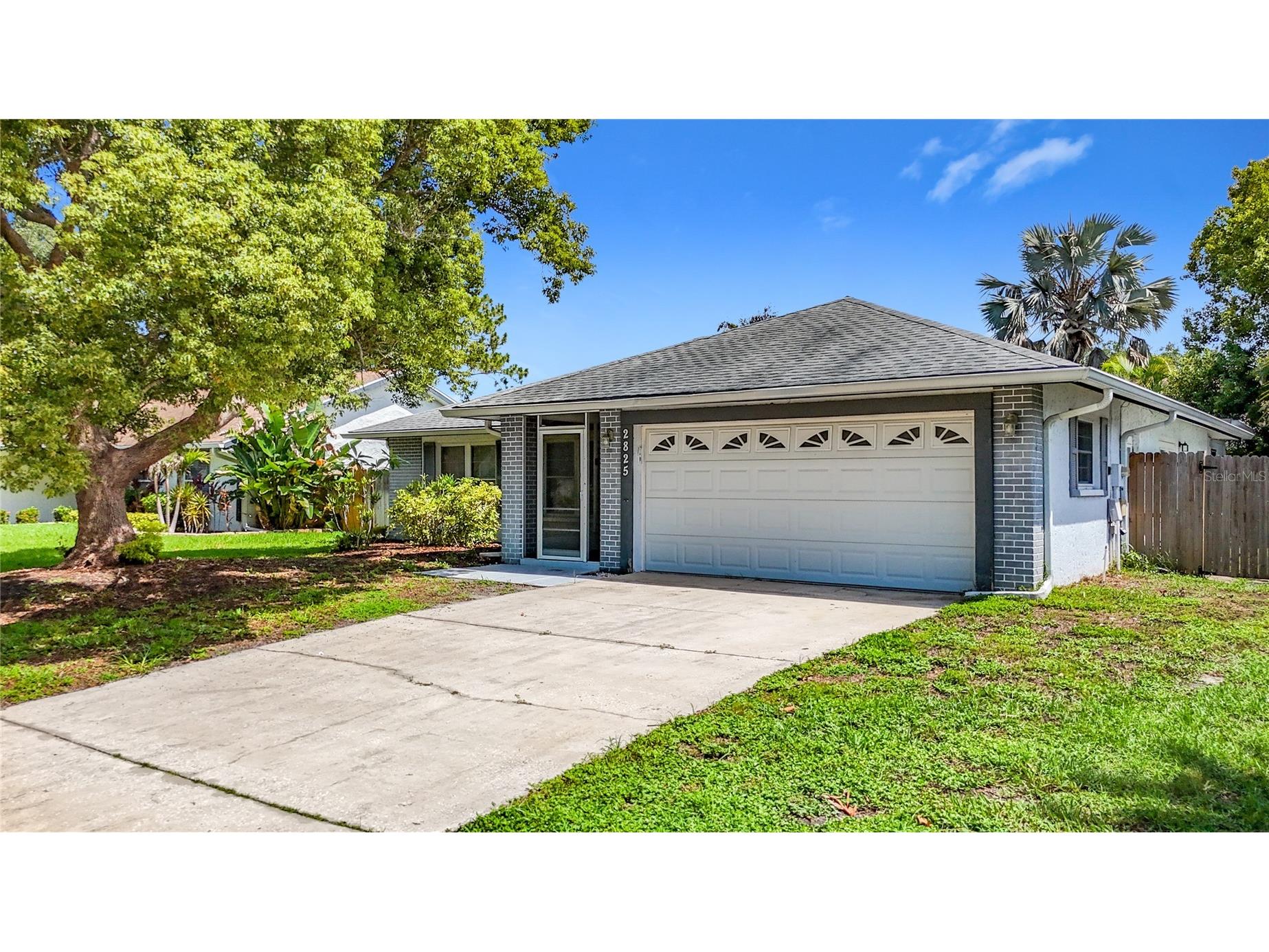 2825 Wendover Terrace Palm Harbor FL 34685 C7526434 image7