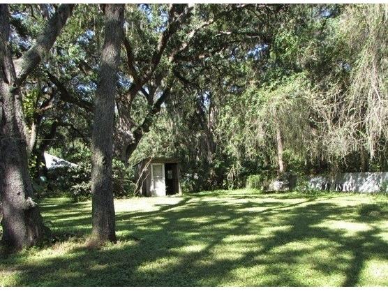 2826 Cr 610 Bushnell FL 33513 G5105379 image2