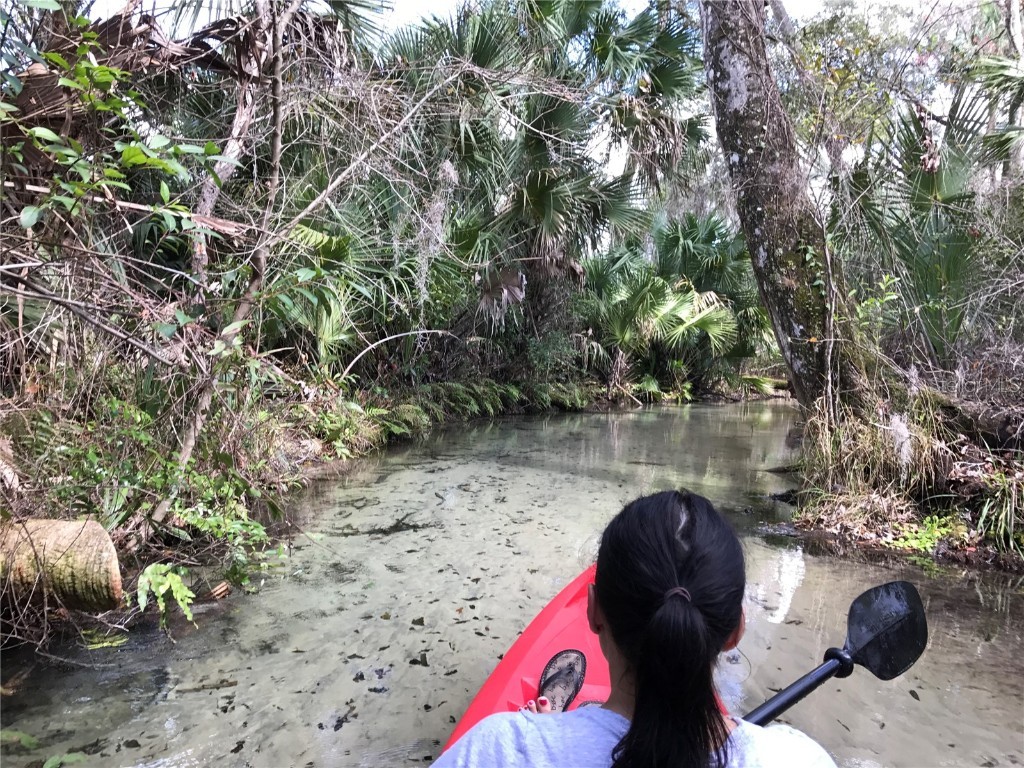 2826 NE 104th Avenue Silver Springs FL 34488 - OCKLAWAHA RIVER O6309478 image20