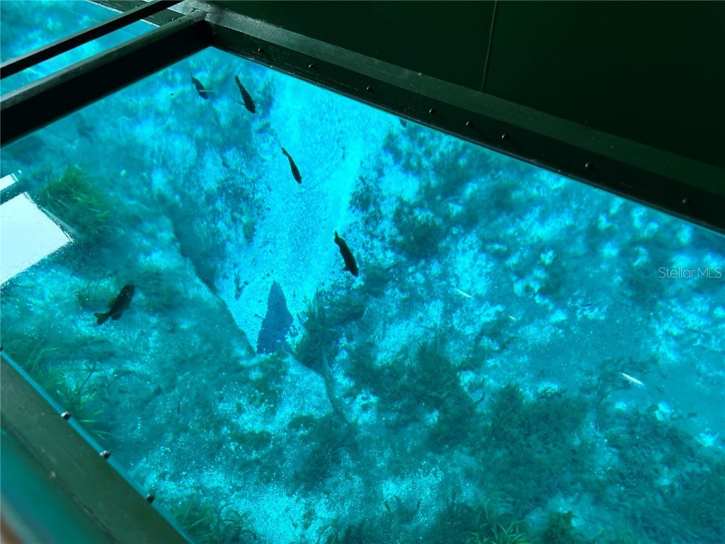 2826 NE 104th Avenue Silver Springs FL 34488 - OCKLAWAHA RIVER O6309478 image22