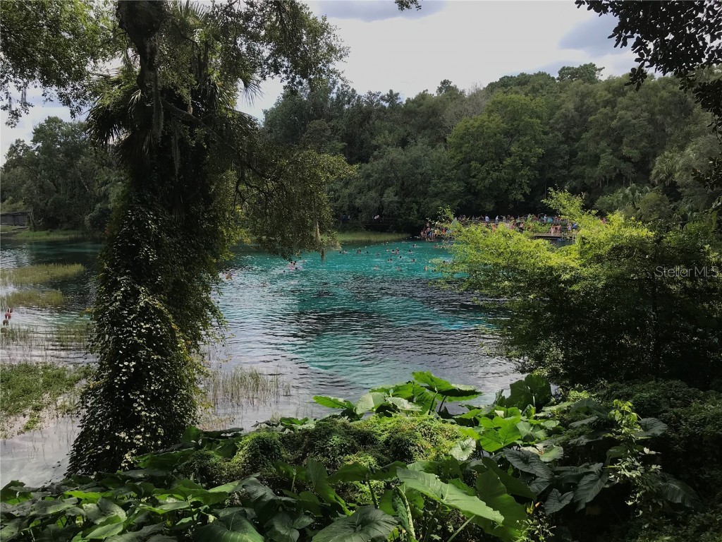 2826 NE 104th Avenue Silver Springs FL 34488 - OCKLAWAHA RIVER O6309478 image24