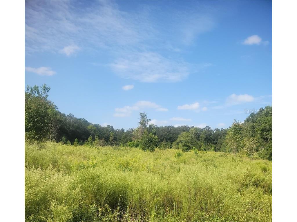 2826 NW 174th Street Newberry FL 32669 OM711366 image1
