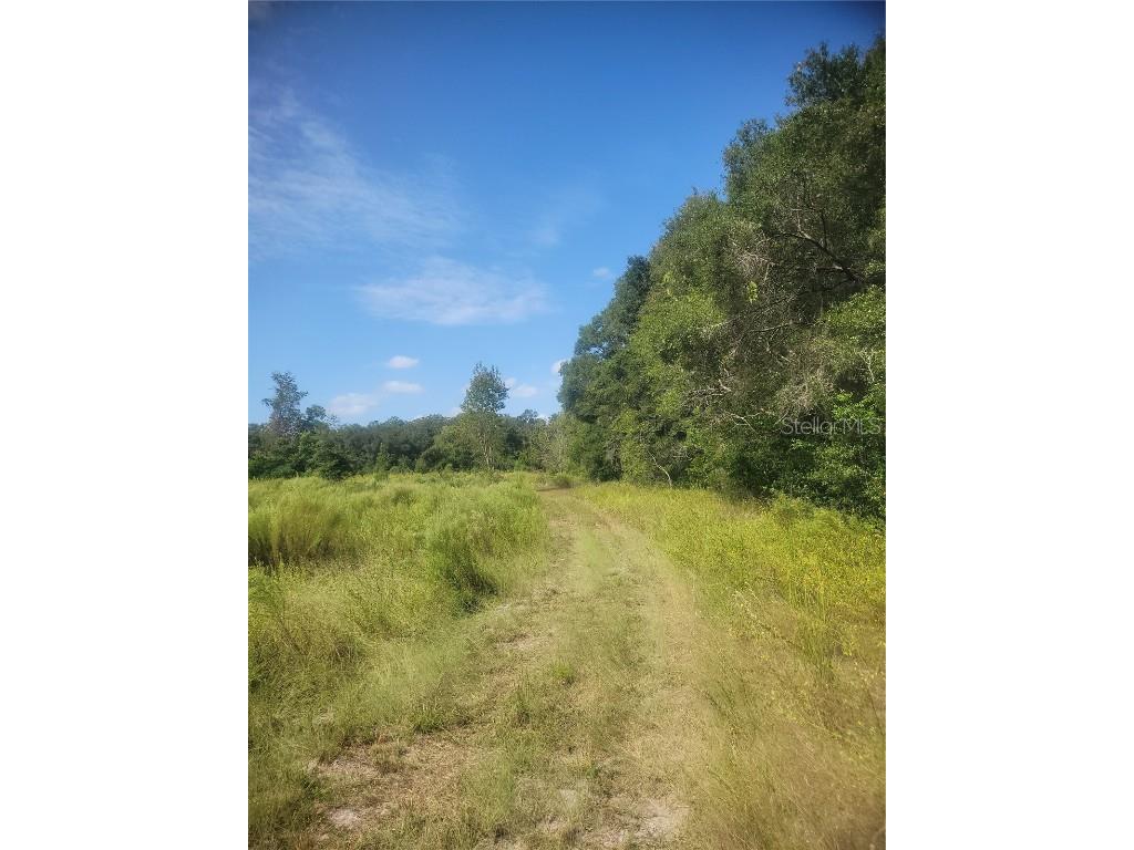 2826 NW 174th Street Newberry FL 32669 OM711366 image2