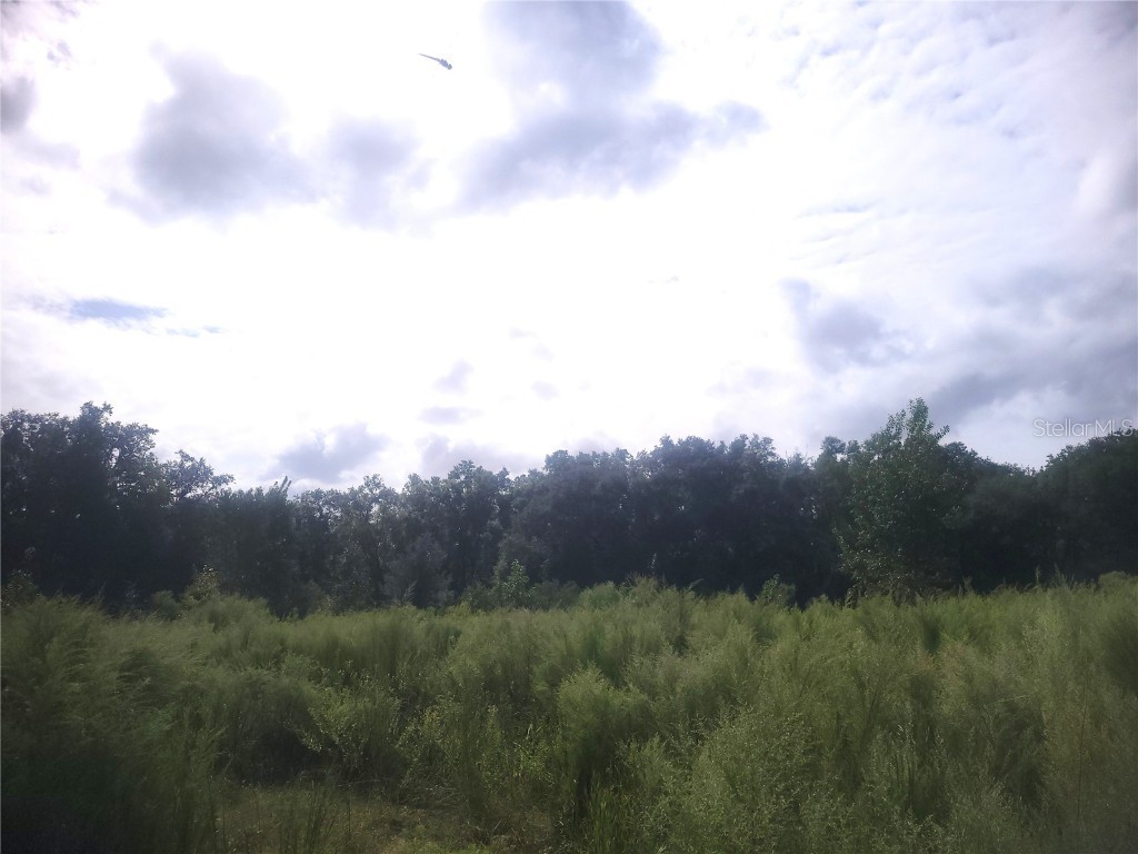 2826 NW 174th Street Newberry FL 32669 OM711366 image4