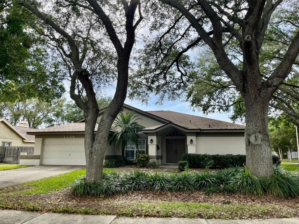 2826 Resnik Circle E Palm Harbor FL 34683 U8196406 image1