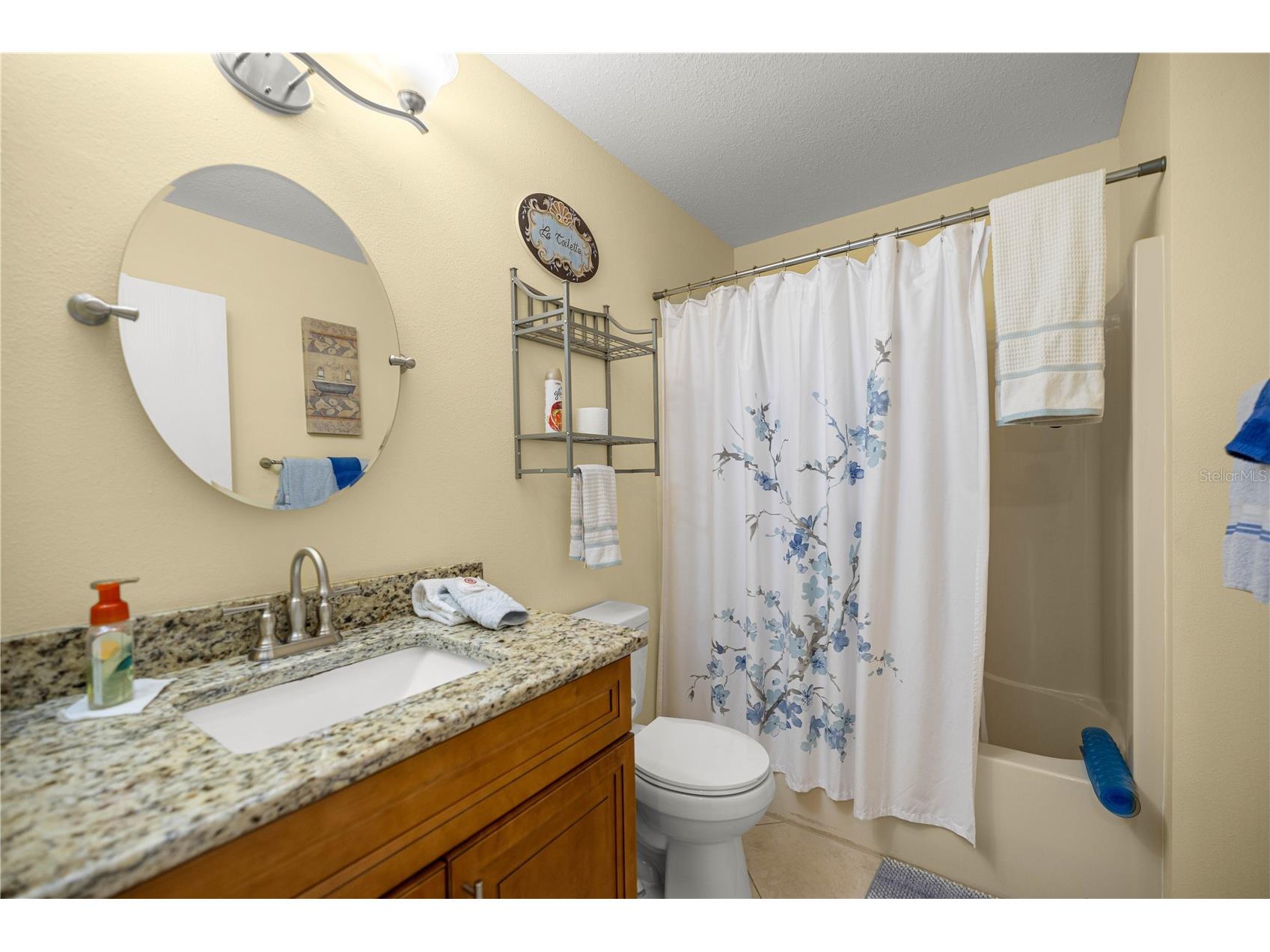 2826 Salamanca Street The Villages FL 32162 A4690183 image13