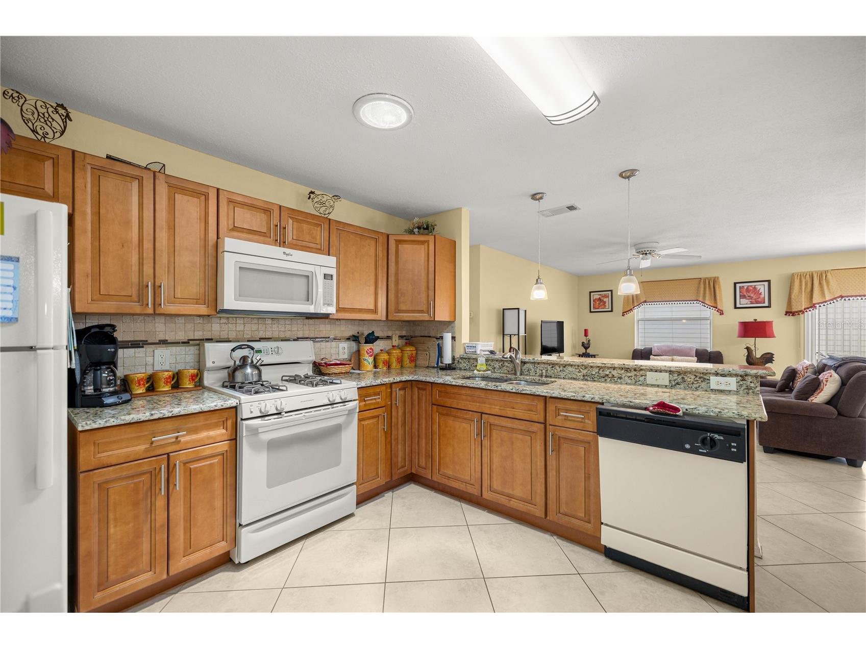 2826 Salamanca Street The Villages FL 32162 A4690183 image9