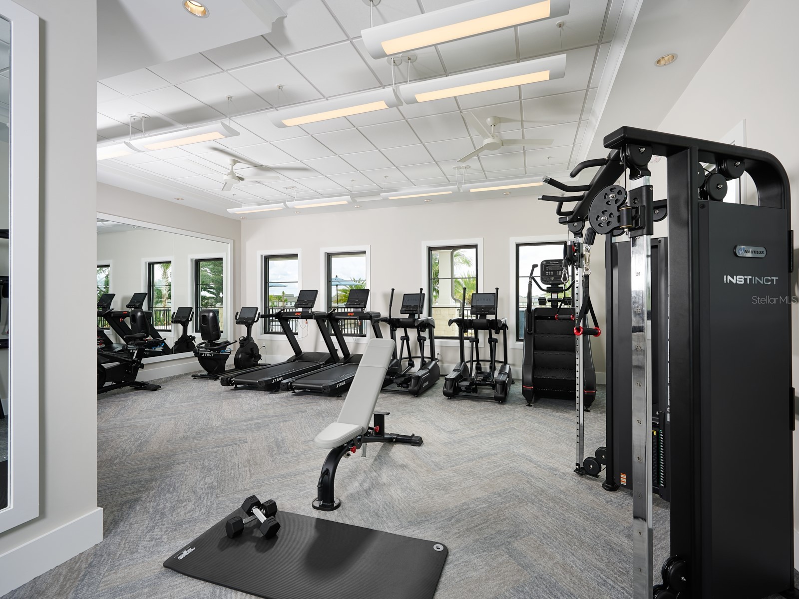 2826 Virginia Pine Drive Bartow FL 33830 TB8479731 image30