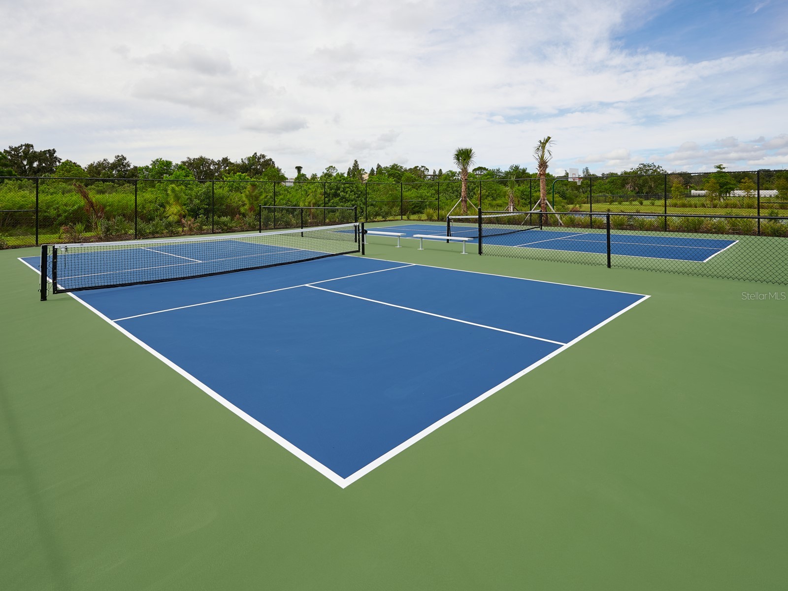 2826 Virginia Pine Drive Bartow FL 33830 TB8479731 image31