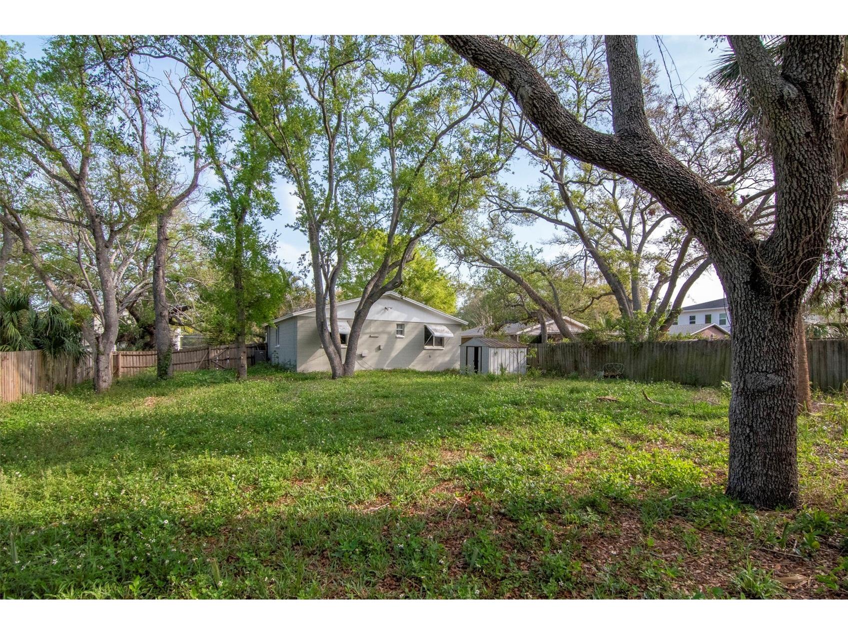 2826 W Shelton Avenue Tampa FL 33611 TB8488066 image47