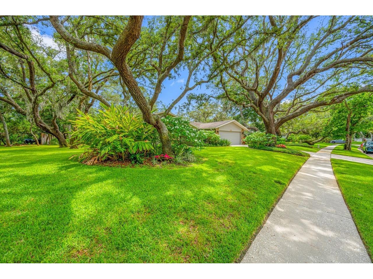 2827 Pheasant Run Clearwater FL 33759 TB8515898 image3