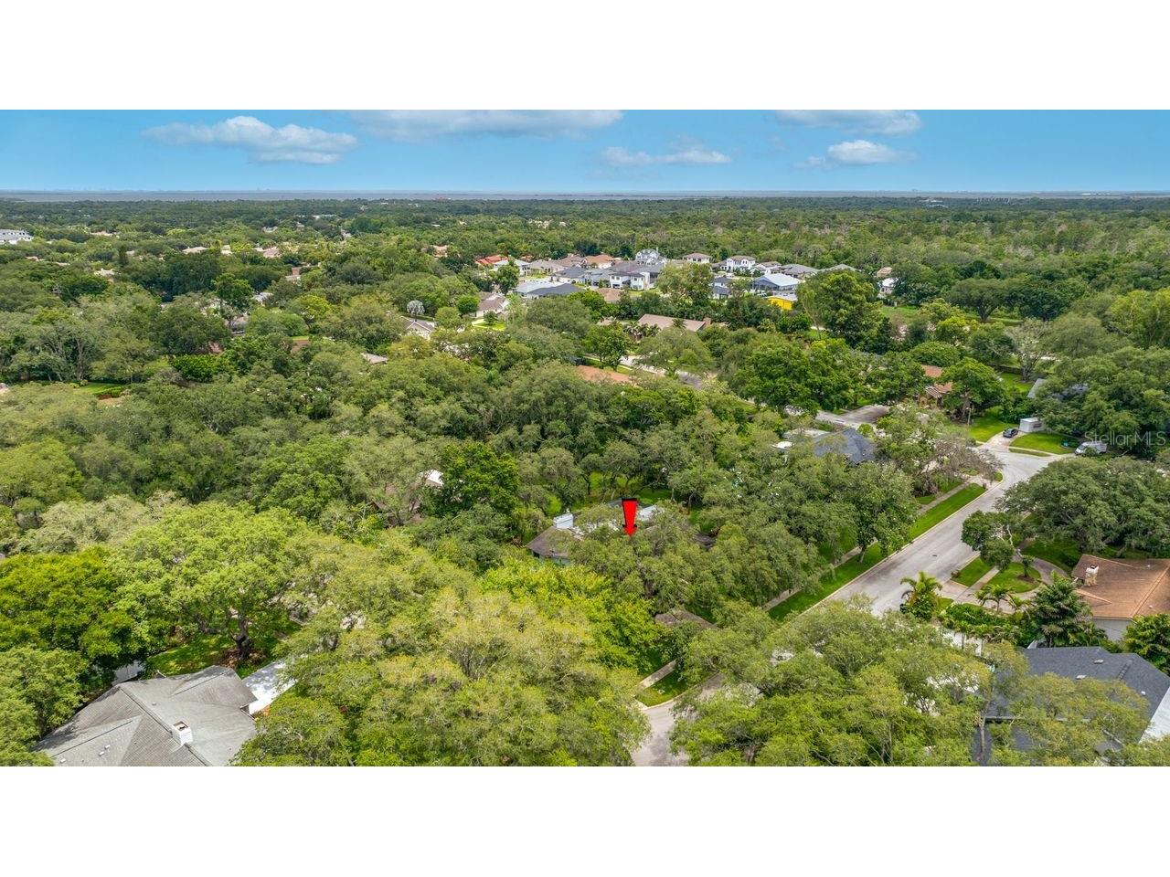 2827 Pheasant Run Clearwater FL 33759 TB8515898 image73