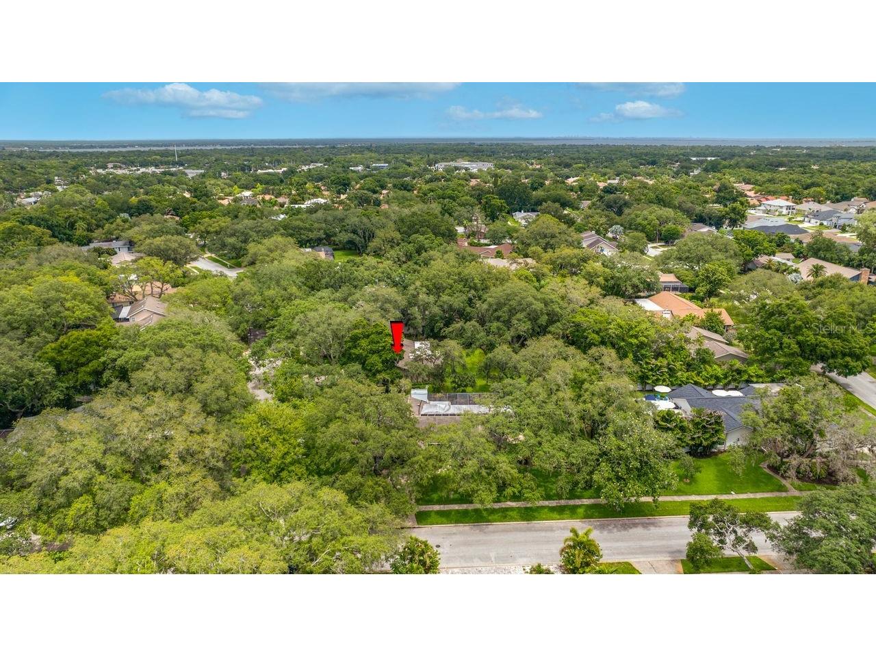 2827 Pheasant Run Clearwater FL 33759 TB8515898 image74