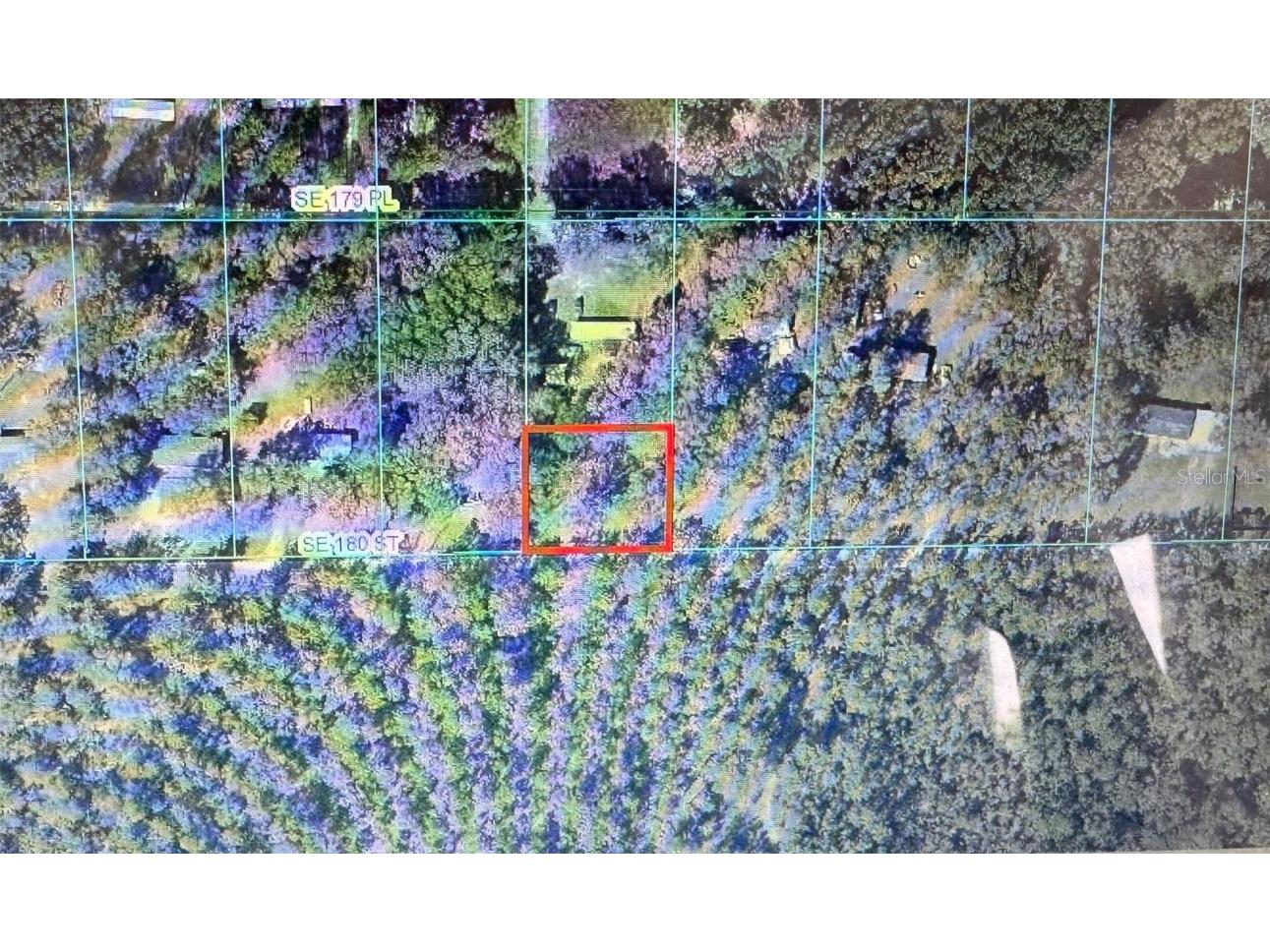 2827 SE 180th Street Summerfield FL 34491 J988678 image1