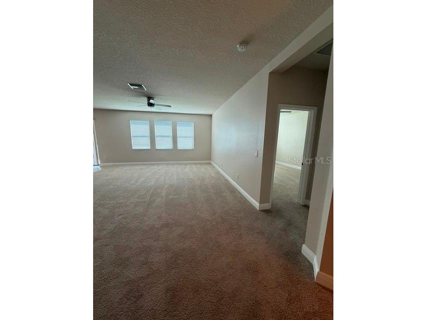 2827 Shetland Ridge Drive Valrico FL 33596 TB8527798 image13