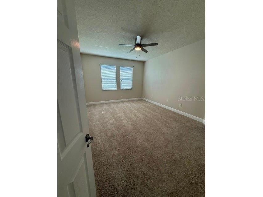 2827 Shetland Ridge Drive Valrico FL 33596 TB8527798 image16