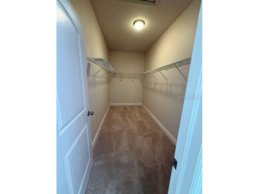 2827 Shetland Ridge Drive Valrico FL 33596 TB8527798 image18