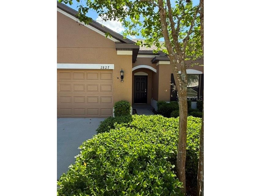 2827 Shetland Ridge Drive Valrico FL 33596 TB8527798 image2