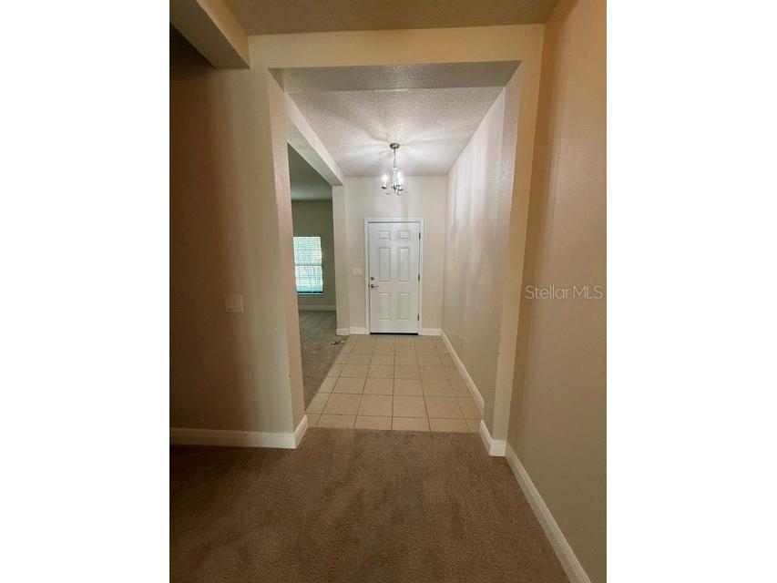 2827 Shetland Ridge Drive Valrico FL 33596 TB8527798 image7