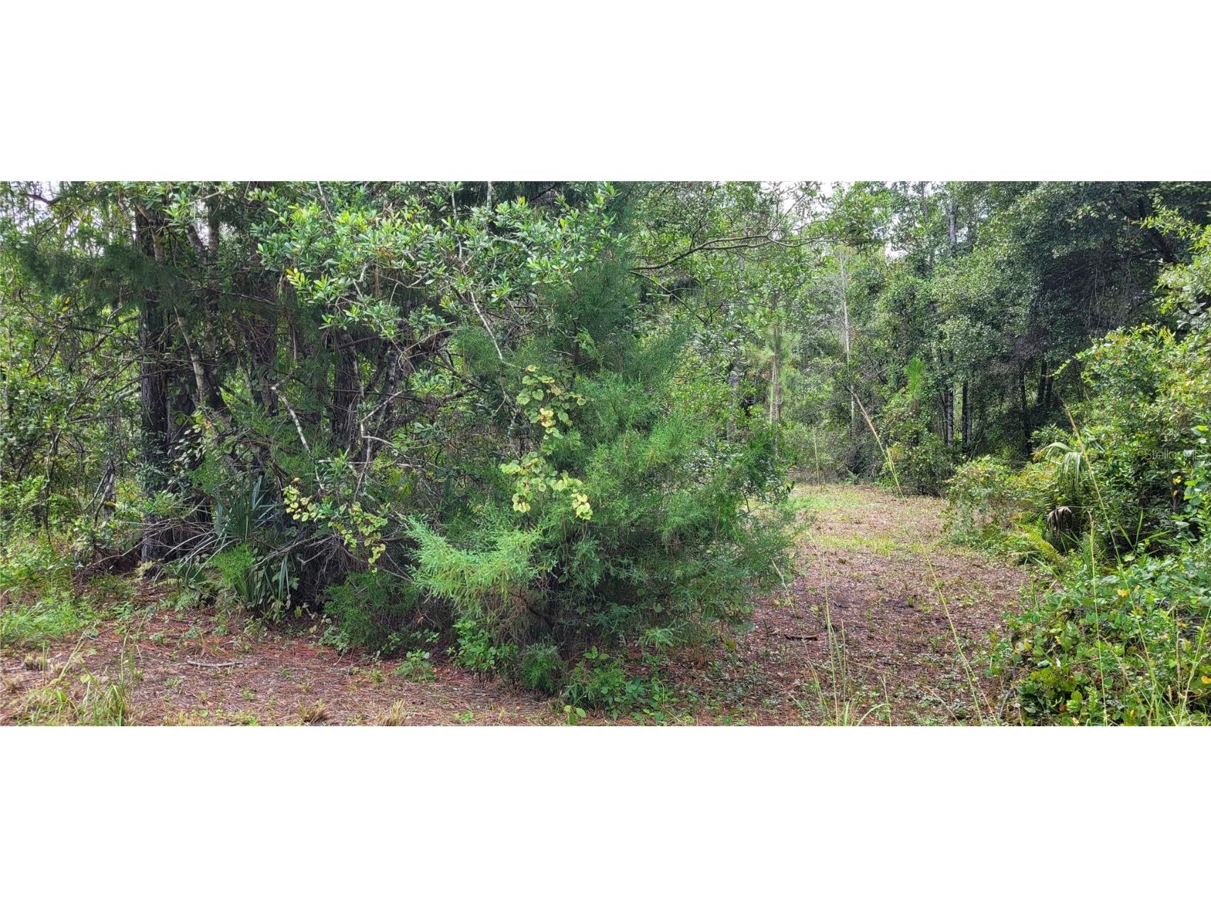 2828 Forest Park Street Bunnell FL 32110 V4938202 image1