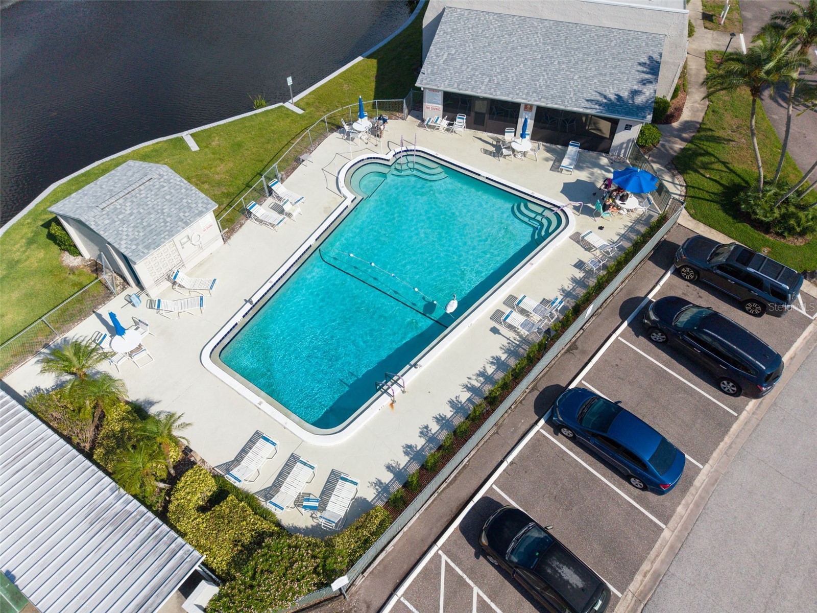 2828 Highlands Boulevard #A Palm Harbor FL 34684 TB8508182 image32