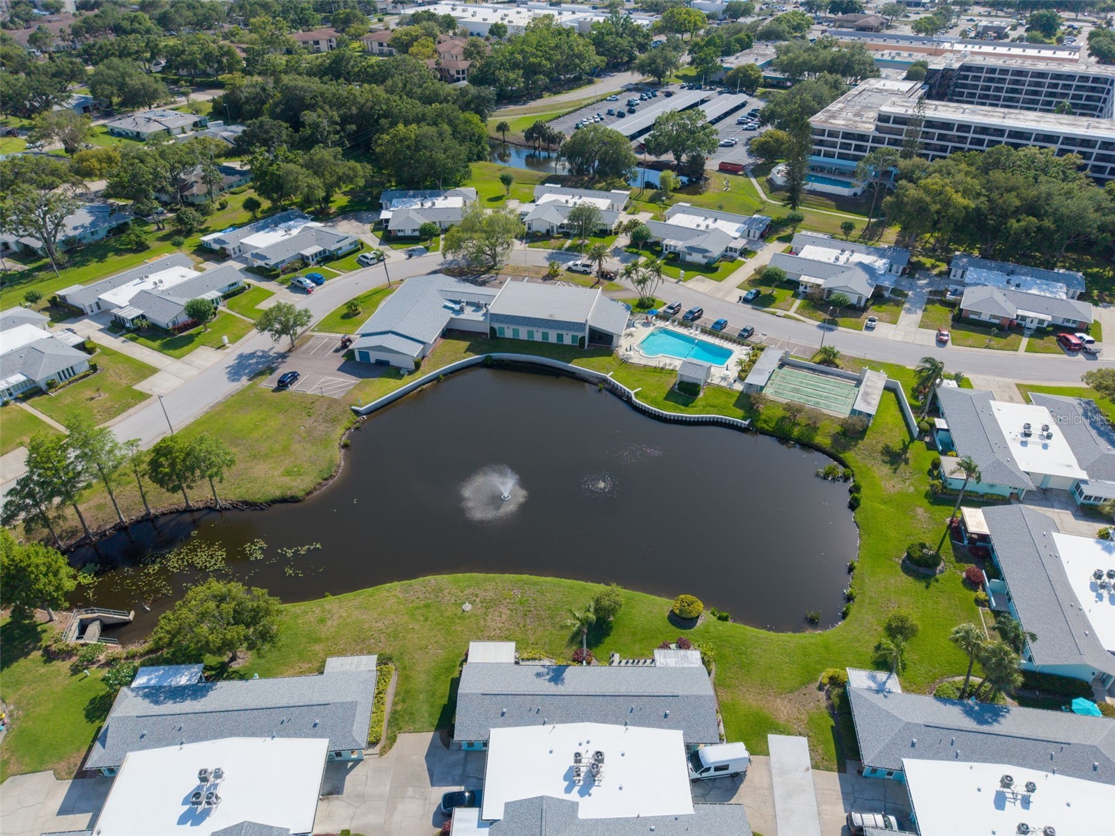 2828 Highlands Boulevard #A Palm Harbor FL 34684 TB8508182 image34