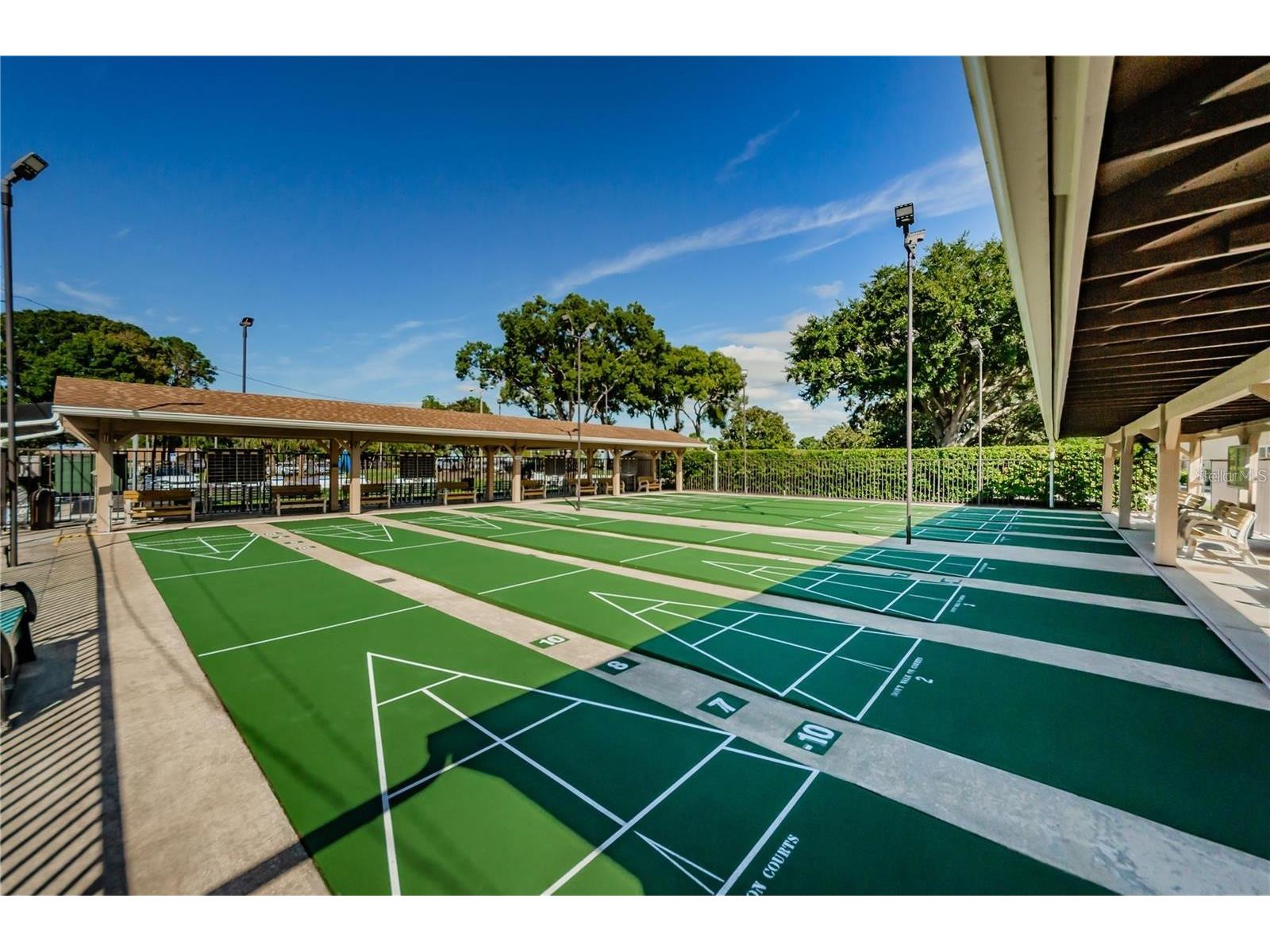 2828 Highlands Boulevard #A Palm Harbor FL 34684 TB8508182 image40