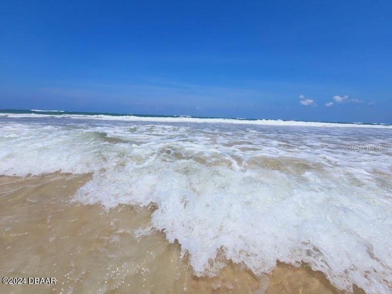 2828 N Atlantic Avenue #604 Daytona Beach FL 32118 V4948521 image44