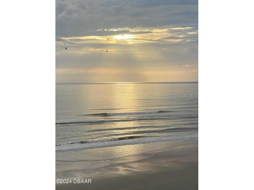 2828 N Atlantic Avenue #604 Daytona Beach FL 32118 V4948521 image45