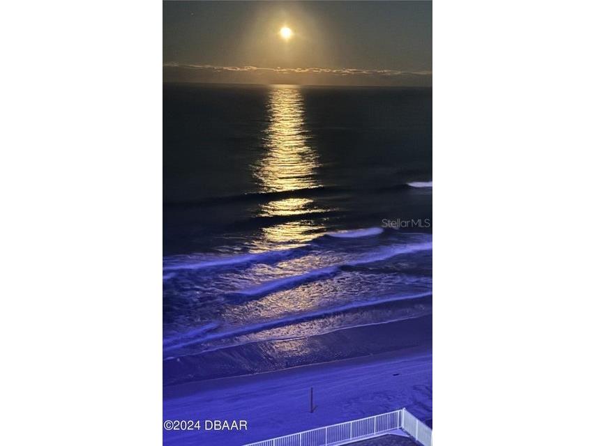 2828 N Atlantic Avenue #604 Daytona Beach FL 32118 V4948521 image49