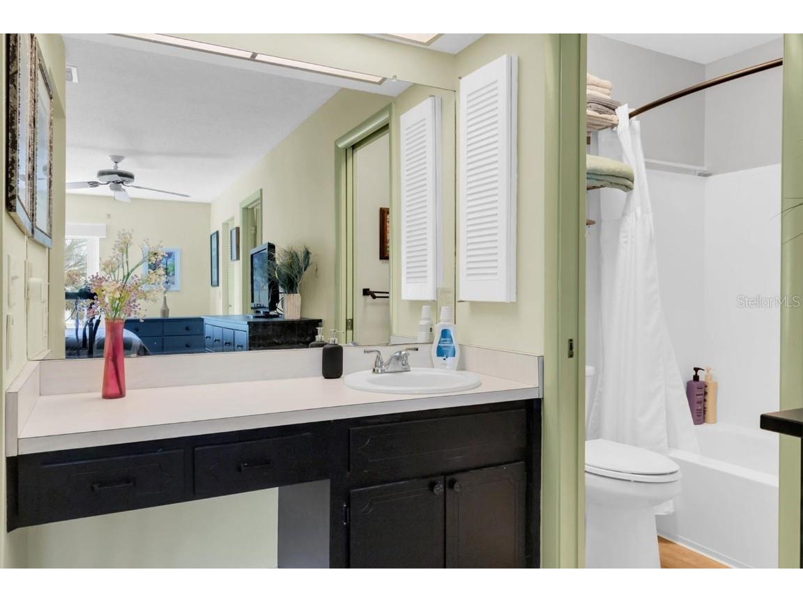 2828 Sherbrooke Lane #C Palm Harbor FL 34684 TB8429395 image17