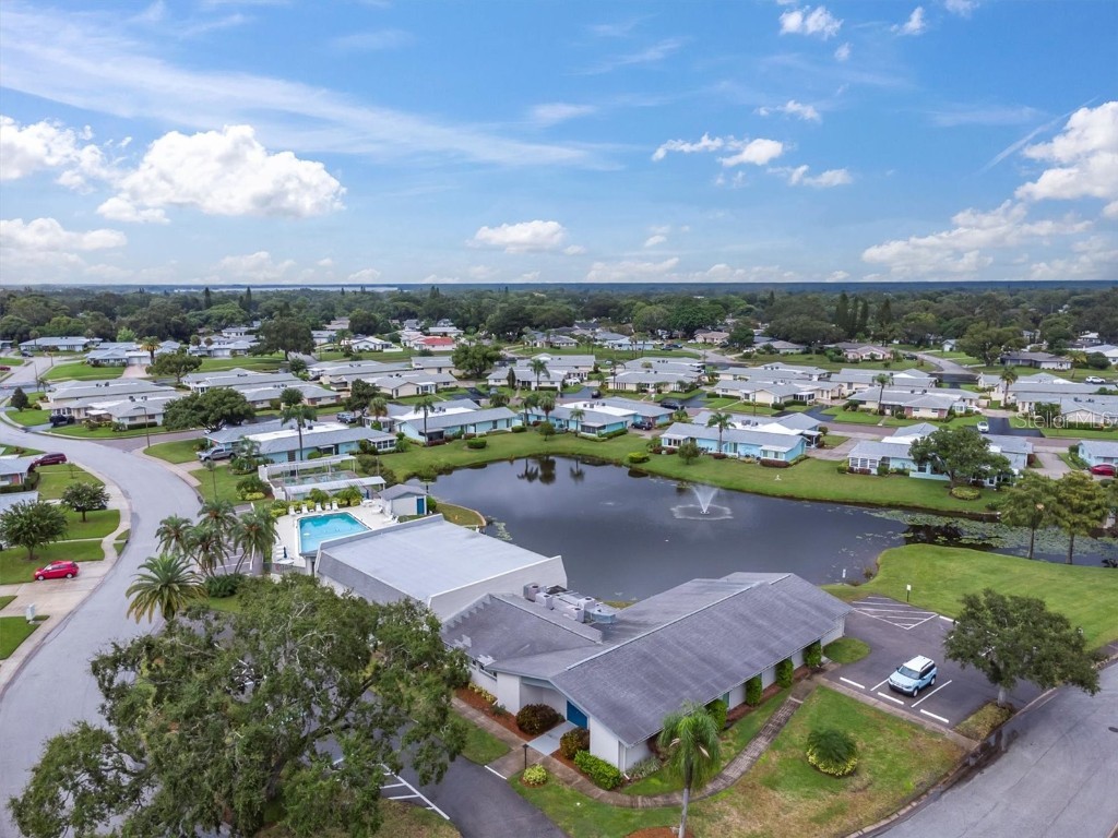 2828 Sherbrooke Lane #C Palm Harbor FL 34684 TB8429395 image30