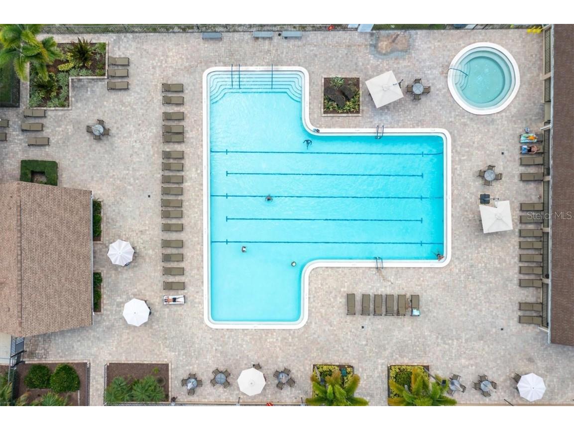 2828 Sherbrooke Lane #C Palm Harbor FL 34684 TB8429395 image35