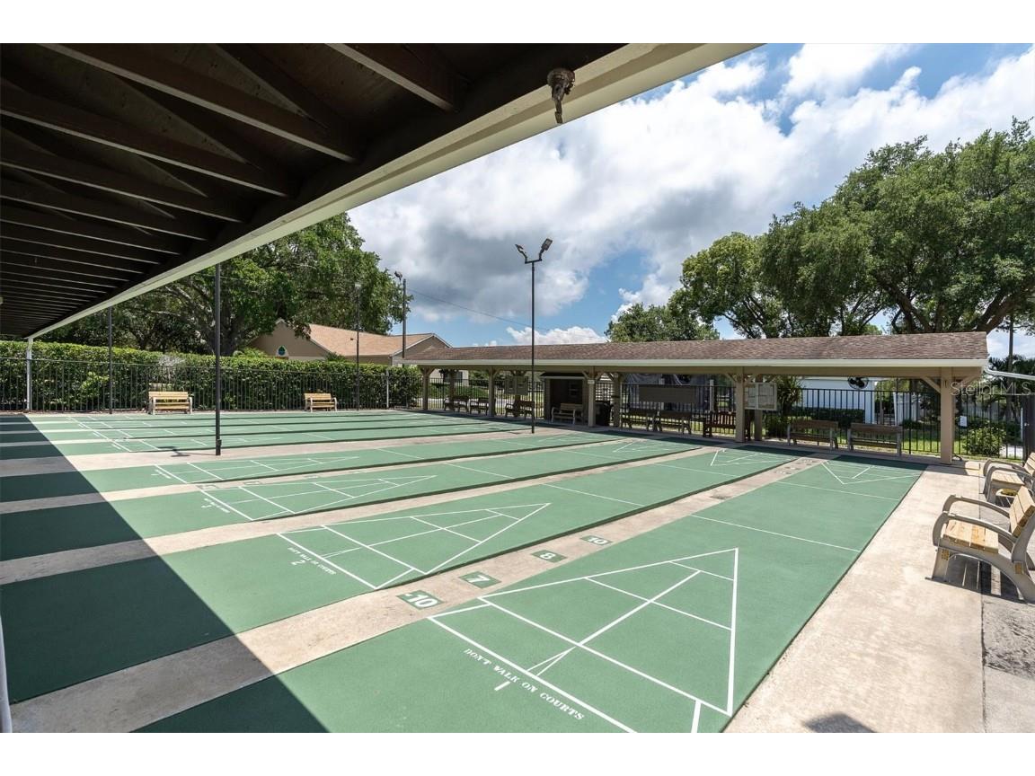 2828 Sherbrooke Lane #C Palm Harbor FL 34684 TB8429395 image38