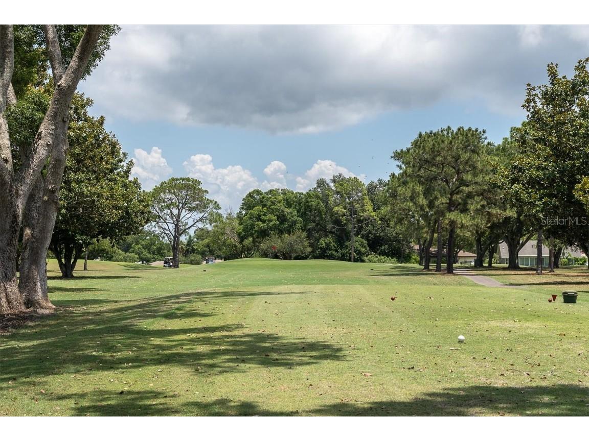 2828 Sherbrooke Lane #C Palm Harbor FL 34684 TB8429395 image39