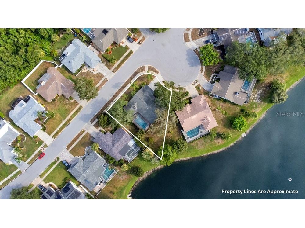 2828 Woodrose Court Holiday FL 34691 W7887576 image3