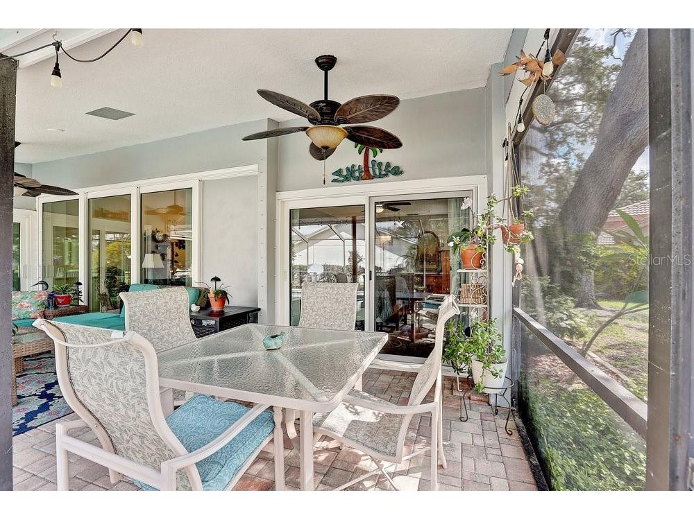 2828 Woodrose Court Holiday FL 34691 W7887576 image45