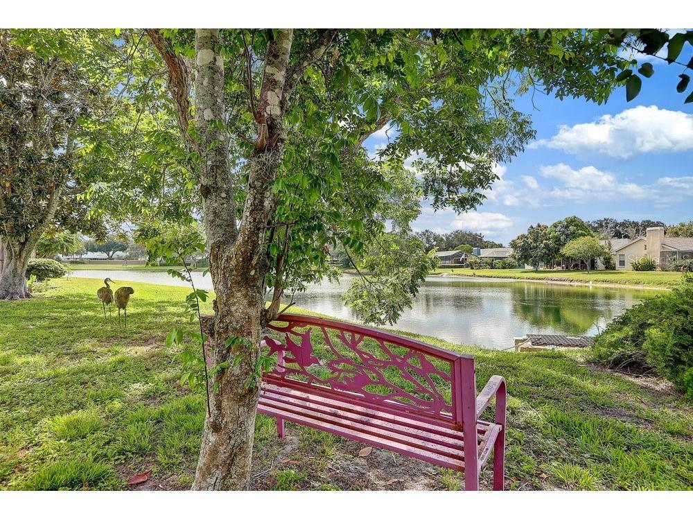 2828 Woodrose Court Holiday FL 34691 W7887576 image52
