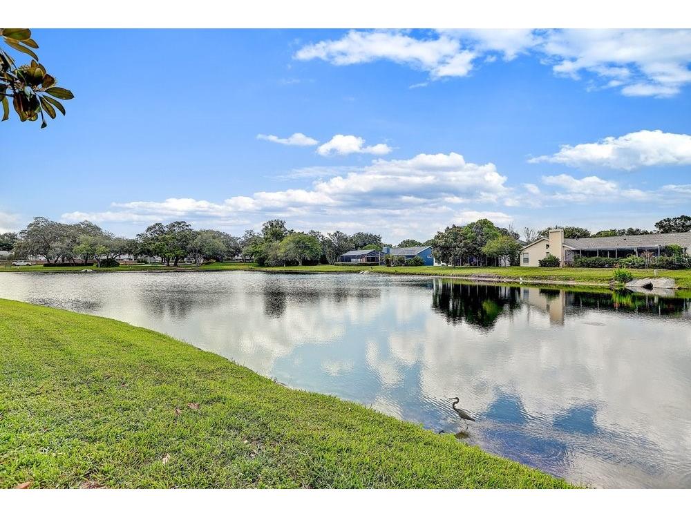 2828 Woodrose Court Holiday FL 34691 W7887576 image56