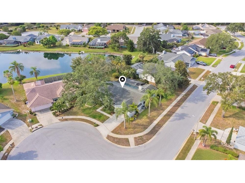 2828 Woodrose Court Holiday FL 34691 W7887576 image63