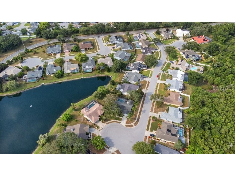 2828 Woodrose Court Holiday FL 34691 W7887576 image64