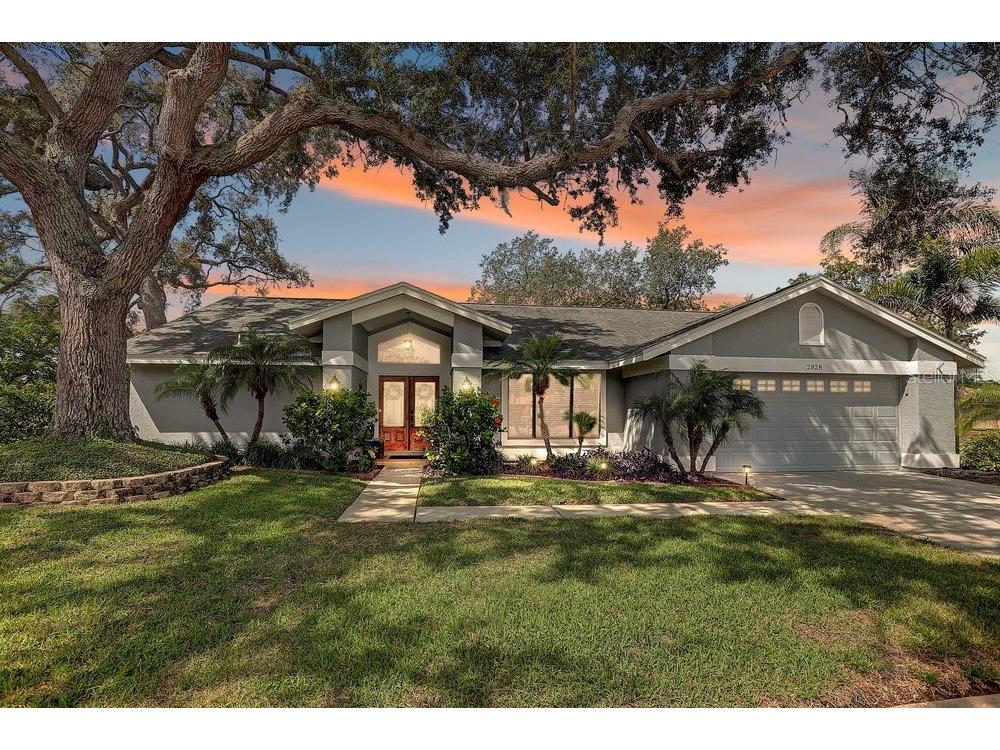 2828 Woodrose Court Holiday FL 34691 W7887576 image66
