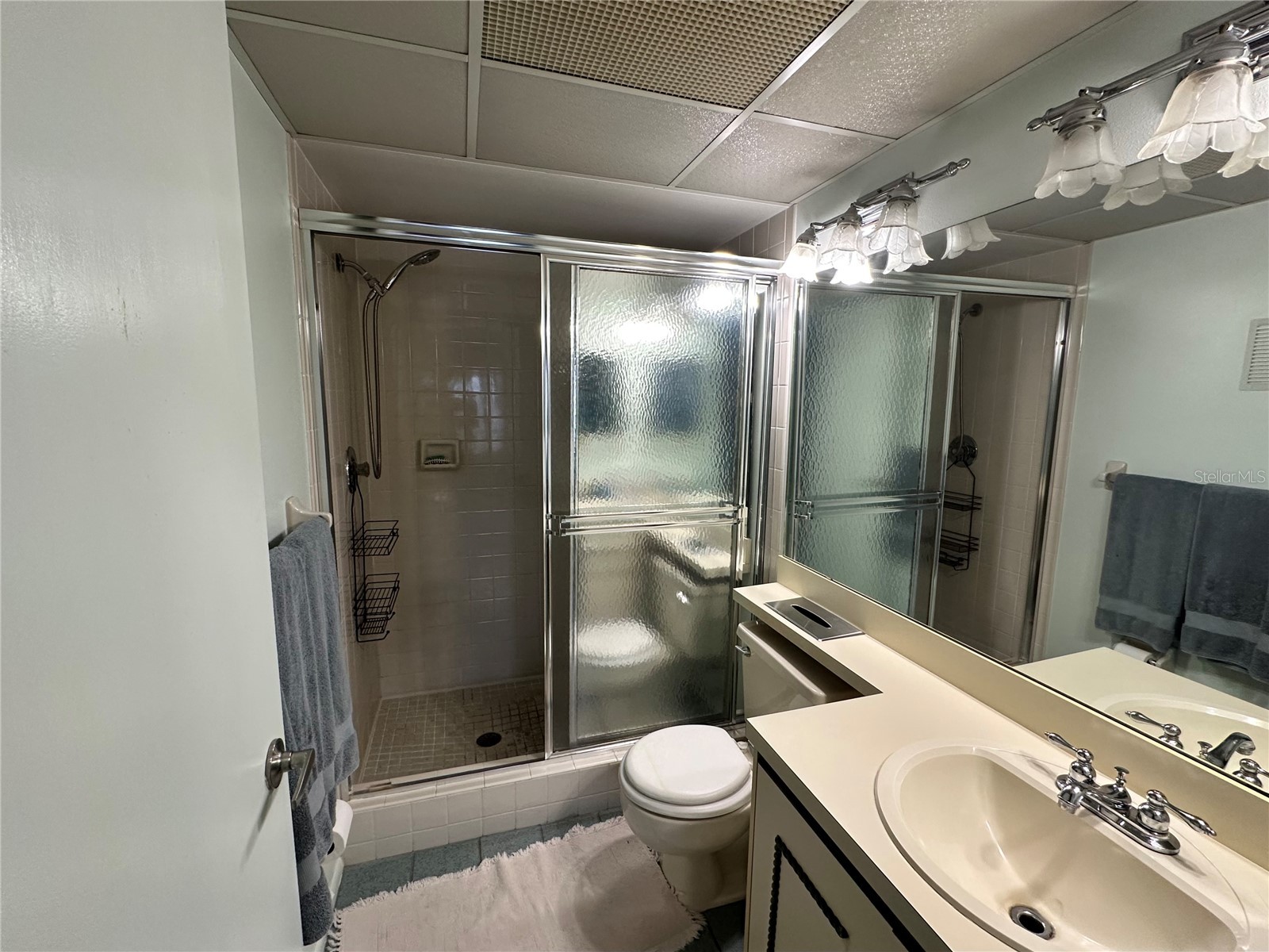 2829 74th Street W #2829 Bradenton FL 34209 A4688816 image13