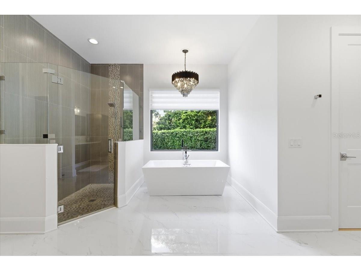 2829 Coastal Range Way Lutz FL 33559 W7885858 image36