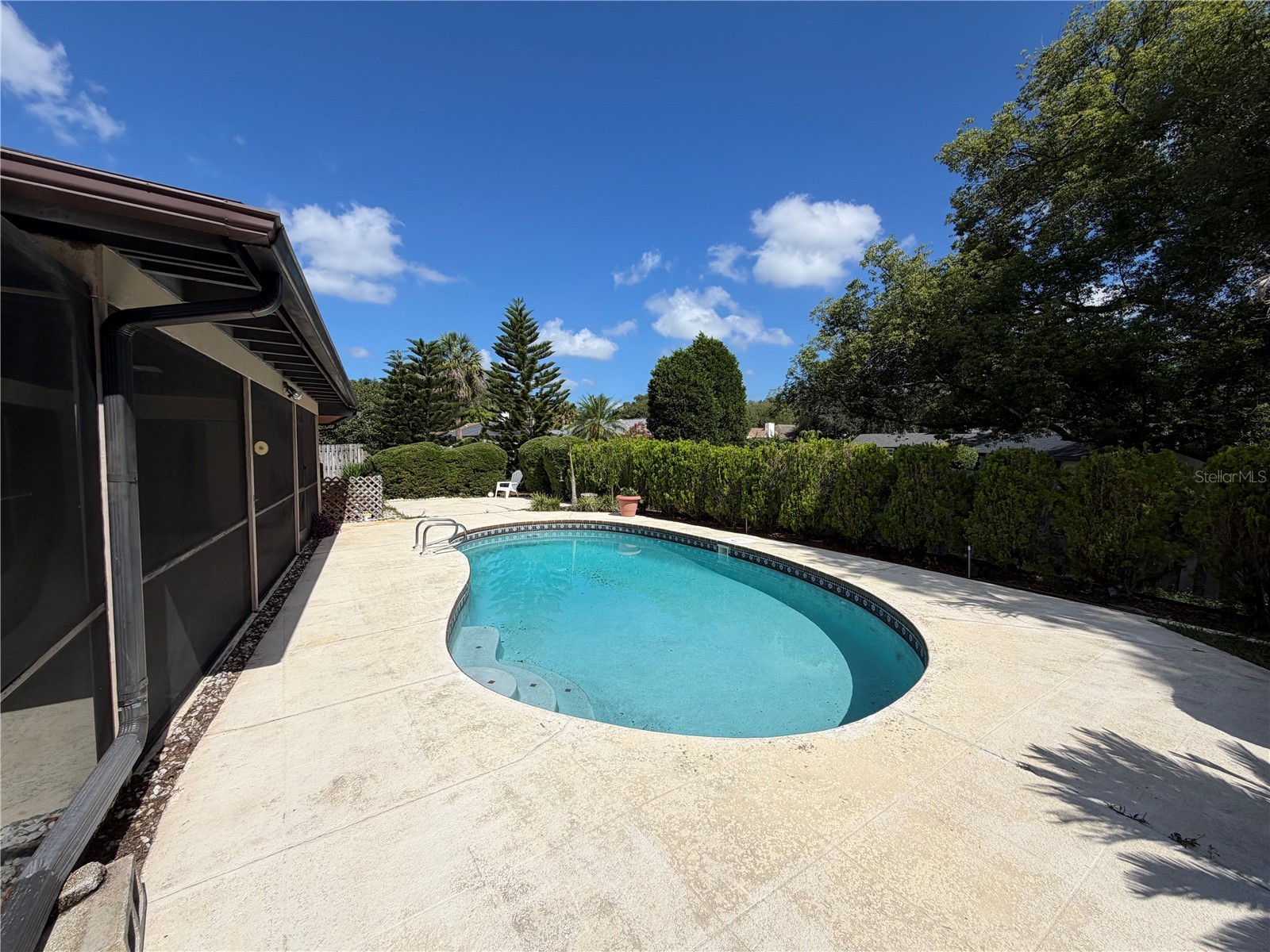 2829 Tangelo Way Palm Harbor FL 34684 TB8509457 image27