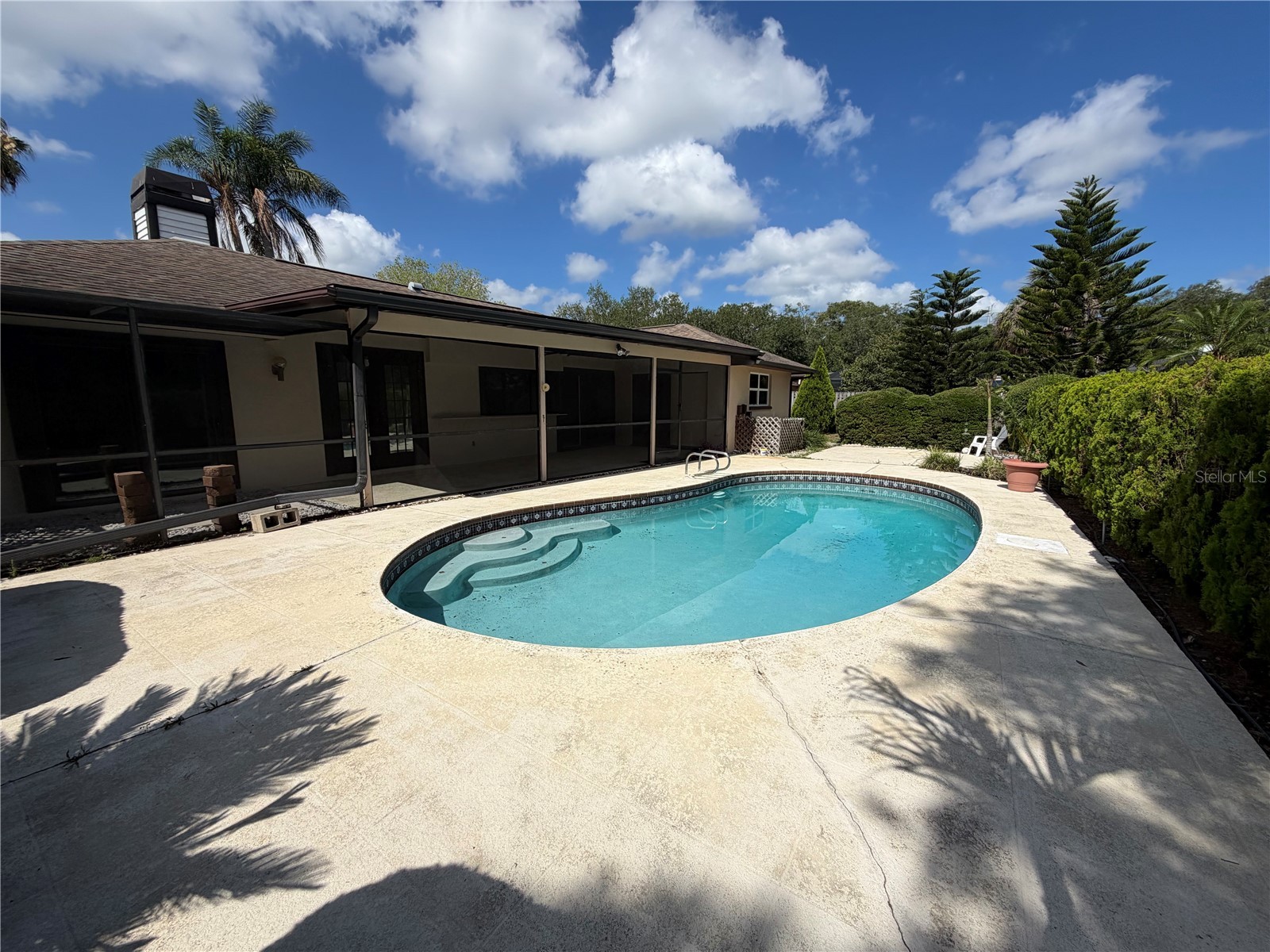2829 Tangelo Way Palm Harbor FL 34684 TB8509457 image28